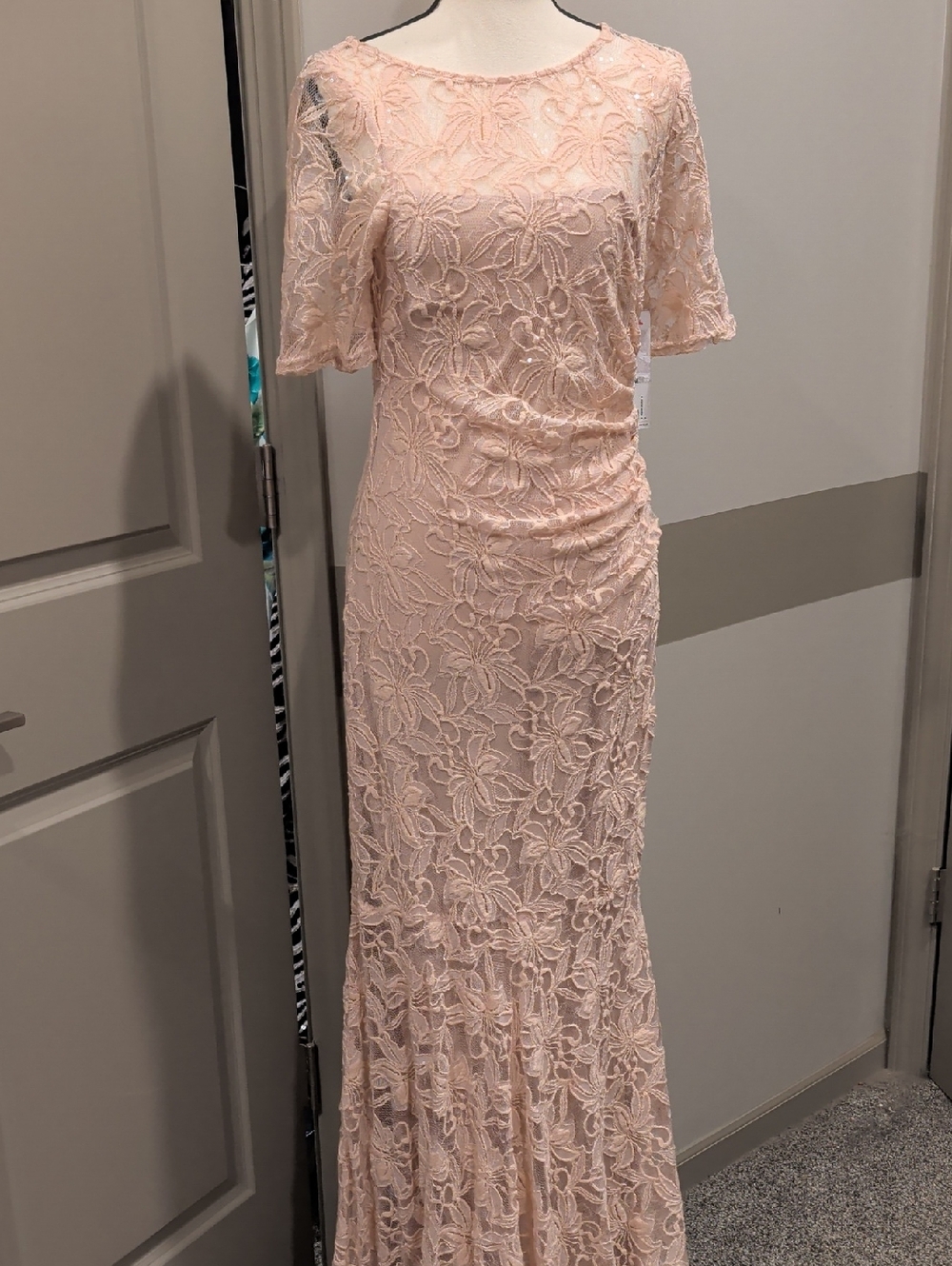 Blush Lace Maxi Dress with Floral Embroidery